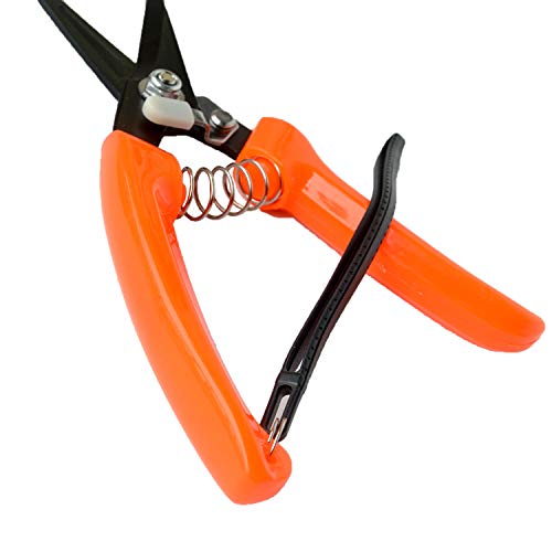 Hoof Trimmers Goat Hoof Trimming Shears Nail Clippers for Sheep, Alpaca, Lamb, Pig Hooves Multiuse Carbon Steel Trimmer (Pack of 2) - size: 8 inches (Pack of 2)