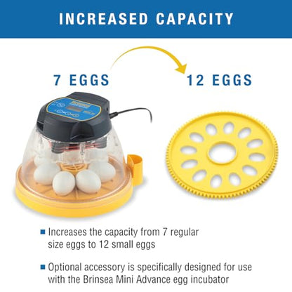 Brinsea Egg Quadrant Insert for Mini Advance Incubators Fits 12 Eggs, Small - size: Fits 12 Eggs, style: Mini Advance