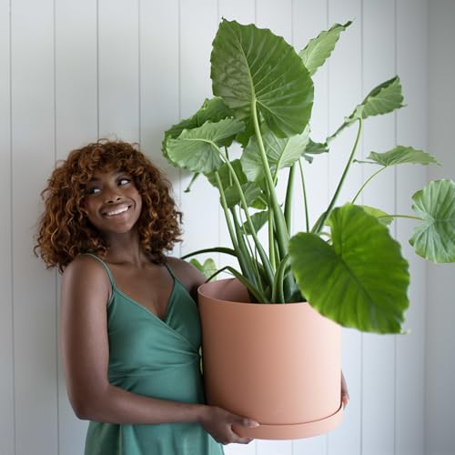 Bloem Mathers 12" Modern Plastic Planter, Muted Terra Cotta, 2-Pack - color: Muted Terra Cotta, size: 12" (Pack of 2)