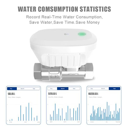 DN20 Smart Water Valve 3/4 Inch Smart Water Shutoff Valve Management System - color: 3/4"