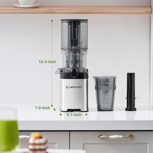 AMZCHEF Cold Press Juicer, 5.4" Whole Fruit Self-Feeding Slow Juicer - color: Silver, size: 5.4 Inch