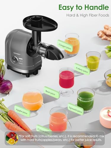 Masticating Juicer Machine 200W Slow Cold Press Extractor for Veggie/Fruit - color: Grey
