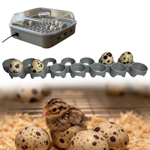 Custom Quail Egg Turner Tray Compatible with Maticoopx 20 Egg Incubator - color: M30