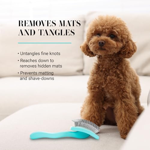 Chris Christensen Big G Dog Slicker Brush for Dogs (Goldendoodles, Labradoodles, Poodles), Groom Like a Professional, Fluff Detangle Style, Saves Time Energy, Teal, Medium - color: Teal, size: Medium