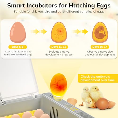 36-60 Egg Incubator with Automatic Egg Turning and Humidity Control, Chicken Egg Incubator with Digital Display, Adjustable Egg Incubators for Hatching Eggs Include Chicken Duck Quail Eggs