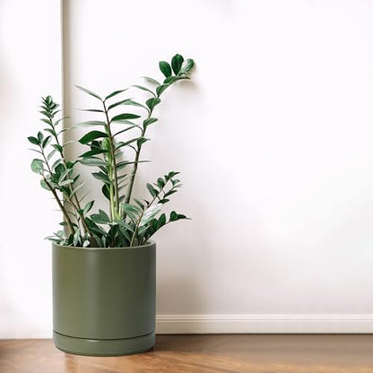D'vine Dev 8.2 Inch Ceramic Planter Pot, Olive, 94-O-D-J - color: Olive, size: Medium