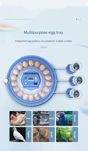 JUJOJB 12-Egg Incubator with Automatic Turner and Temperature Control - color: Blue
