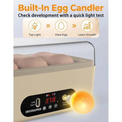 GROZY 6 Eggs Egg Incubator, USB Powered Automatic Hatching Machine with Digital Temperature Control & LED Display, Mini Poultry Hatcher for Chicken, Duck, Quail, Pigeon Eggs