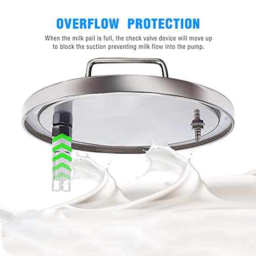 Milking Machine Accessory Stainless Steel Milk Bucket (6L) - size: 6L
