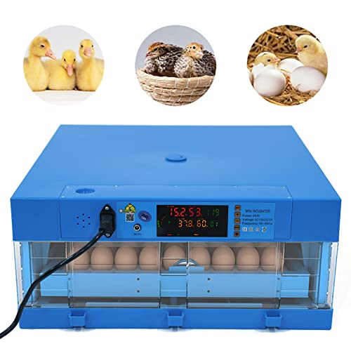 64 Hatching Eggs Incubator Digital Automatic Incubator, Temperature Humidity Control, 360° Automatic Egg Turner, Function Panel Display for Hatching Chicken Duck Goose Pigeon Quail