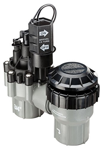 Rain Bird DASASVF075 Professional Anti-Siphon Valve, 3/4" - size: 0.75 Inch