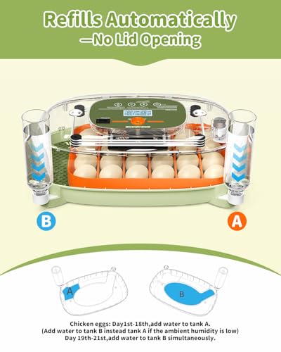 24 Egg Incubator with Automatic Turner Poultry Hatcher - color: Green