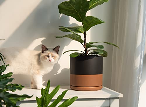 D'vine Dev 8 Inch Ceramic Planter Pot, Black/Tan, 94-O-D-7 - color: Black/Speckled Tan, size: Medium