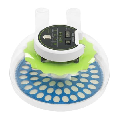 60 Quail Chicken Egg Incubator for Hatching Eggs, Small Poultry Incubators - size: 60 Unites