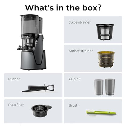EanOruus Juicer Machines, 3-in-1 Cold Press Juicer, Premium Gray - color: Premium Gray