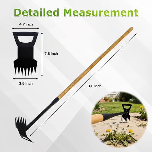 60" Wood Handle Weed Puller Tool, 7-Tine Garden Hoe, Secure Fit, No Bending - size: 7-tooth wooden handle