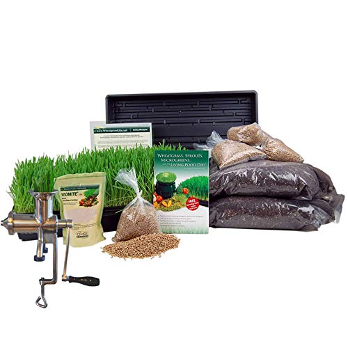 Handy Pantry Organic Wheatgrass Growing Kit w/Hurricane Stainless Steel