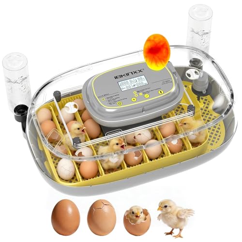Incubator for Hatching Eggs - 24 Egg Capacity, 360° Viewing for Chicken - color: Light Yellow, size: 24 Egg