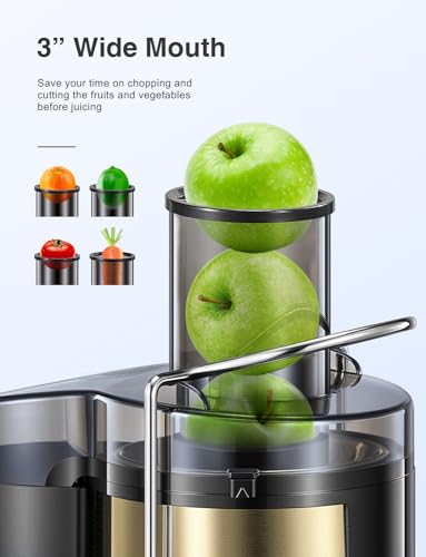 Juicer Machine 800W Centrifugal Juicer with Wide Mouth Feed Chute - color: Gold, size: 800W