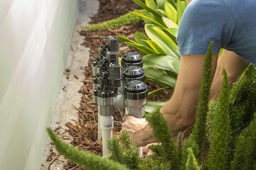 Rain Bird DASASVF075 Professional Anti-Siphon Valve, 3/4" - size: 0.75 Inch