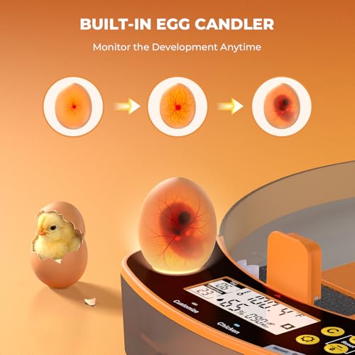 24 Egg Incubator - Smart Incubators for Hatching Chicken Eggs with Temperature & Humidity Control, Egg Candler, Auto Egg Turner, and Abnormal Alarm - size: 24 Eggs