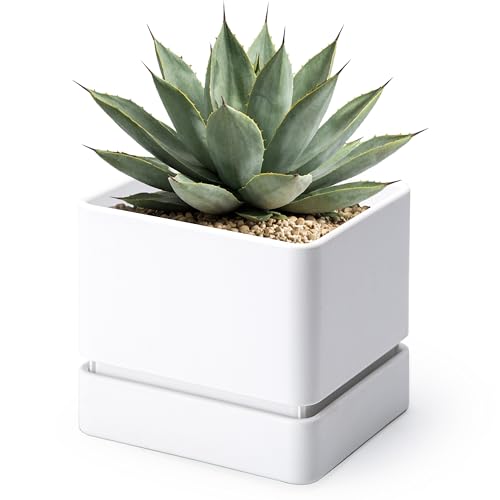 D'vine Dev Plastic Herb Planter Pot, 6 in, White, 76-Y-A1-2 - color: White, size: 6 Inch x 6.5 Inch