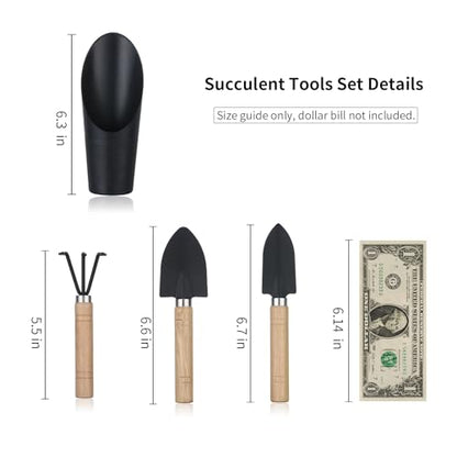 5Pcs Succulent Tool Set, Mini Garden Tools for Plant Care (No Flowerpot) - style: Classic Garden Tools