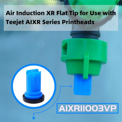 10 Packs - Air Induction XR Flat Spray Tips 110 ° for TeeJet AIX R series Spray Head, AIX R11003-VP 110 ° 0.3GPM@40 PSI (Blue) - color: AIXR11003