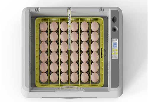 Egg Incubator for Hatching Chick, 36 Eggs Automatic Temp & Humidity Control - color: SXY-Eg36
