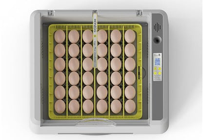 Egg Incubator for Hatching Chick, 36 Eggs Automatic Temp & Humidity Control - color: SXY-Eg36