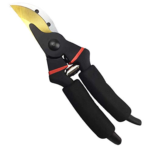 gonicc 8" Professional Premium Bypass Titanium Pruning Shears(GPPS-1003) - color: Golden Titanium Bypass Pruning Shears
