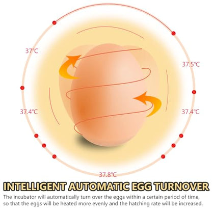 CROSSDESIGN Automatic Digital Egg Incubator 48 Eggs Poultry Hatcher Machine Breeder w/Temperature Control & Auto Turning for Hatching Chicken Duck Goose Quail Birds - size: 48 Eggs