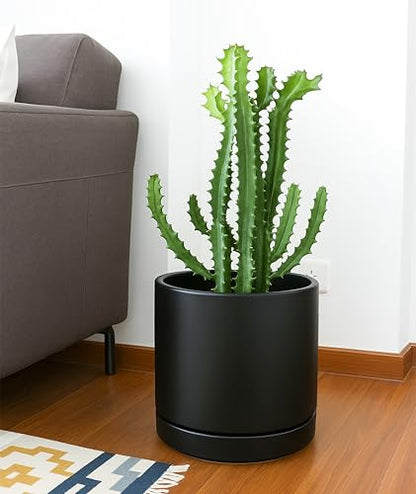 D'vine Dev 10 Inch Ceramic Planter Pot, Black, 94-O-E-2 - color: Black, size: Large