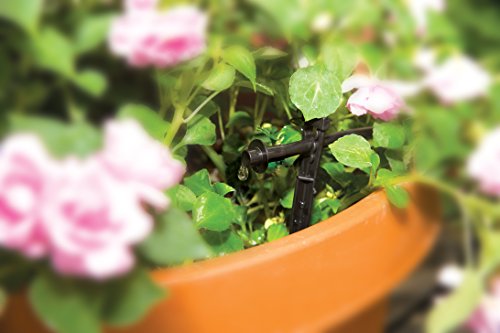 Rain Bird PATIOKIT Drip Irrigation Kit, 1/4" - size: 42-Piece Kit, style: Patio Watering Kit