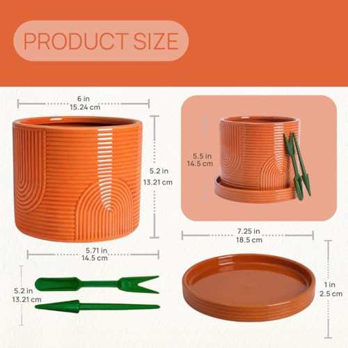 6 Inch Ceramic Plant Pot with Drainage Hole & Tray – Terracotta - color: Terracotta