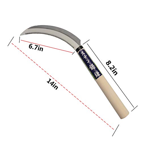 KEYI Grass Sickle, Hand held Sickle Tool with Wooden Handle, Light Serration, 6.5-Inch Stainless Steel Blade
