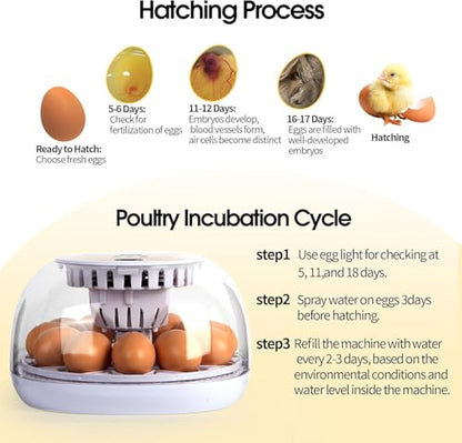 Egg Incubator, 12 Egg Capacity, Automatic Egg Turner, 360° Viewing, Temperature and Humidity Control, for Chicken, Duck, and Quail Eggs