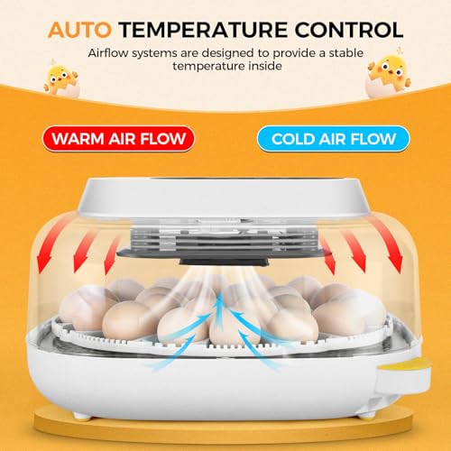 Sailnovo 24 Eggs Incubator, 4 Modes, Temp Control & Humidity Display, Grey - color: Grey, size: 24 Eggs