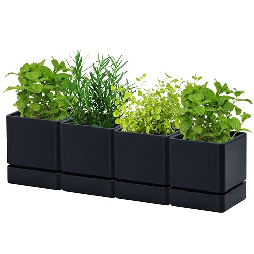 D'vine Dev 4-Pack Plastic Herb Planter Pots, 4 in, Black, 76-Y-B4-1 - color: Black, size: 16 Inch x 4.5 Inch