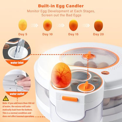 Egg Incubator for Hatching Eggs: Automatic Turner ±1°F Temperature