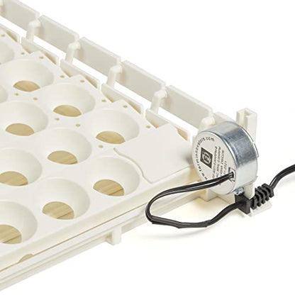 Farm Innovators Automatic Egg Turner, 41 Spot Chicken Egg Turning Tray with Thermometer for Improved Hatching Rate - Compatible with Select Incubators - size: Pack of 1