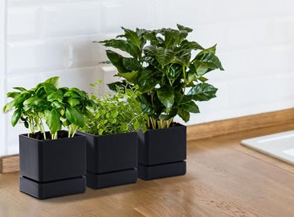 D'vine Dev 3-Pack Plastic Herb Planter Pots, 4 in, Black, 76-Y-B3-1 - color: Black, size: 12 Inch x 4.5 Inch