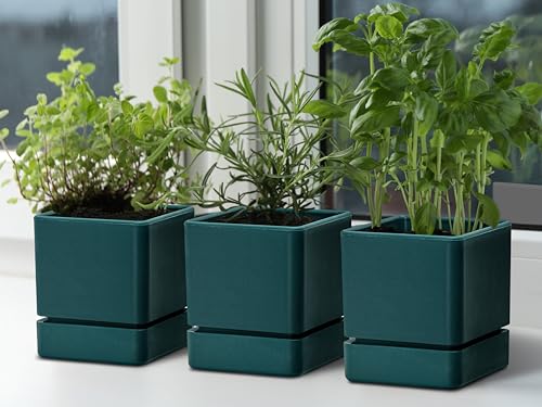 D'vine Dev 3-Pack Plastic Herb Planter Pots, 4 in, Green, 76-Y-C-1 - color: Green, size: 12 Inch x 4.5 Inch