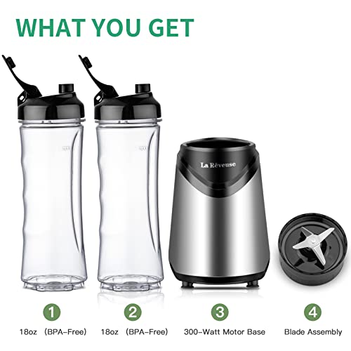 La Reveuse Personal Size Blender for Shakes and Smoothies, 2 Cups, Silver - color: Silver