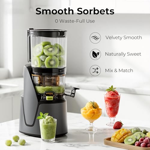 EanOruus Juicer Machines, 3-in-1 Cold Press Juicer, Premium Gray - color: Premium Gray