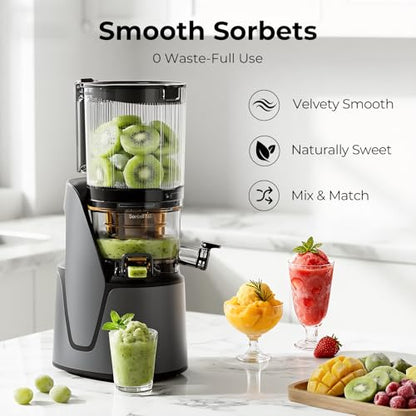 EanOruus Juicer Machines, 3-in-1 Cold Press Juicer, Premium Gray - color: Premium Gray
