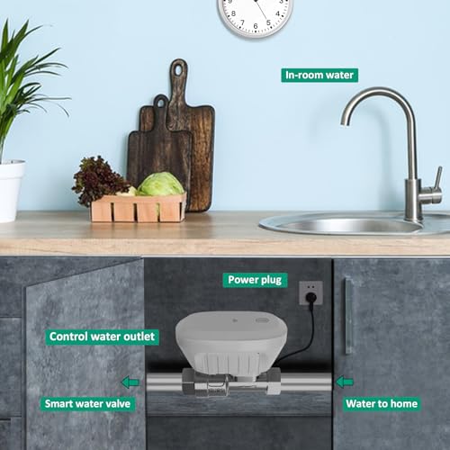 DN20 Smart Water Valve 3/4 Inch Smart Water Shutoff Valve Management System - color: 3/4"