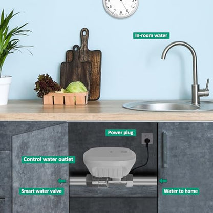 DN20 Smart Water Valve 3/4 Inch Smart Water Shutoff Valve Management System - color: 3/4"