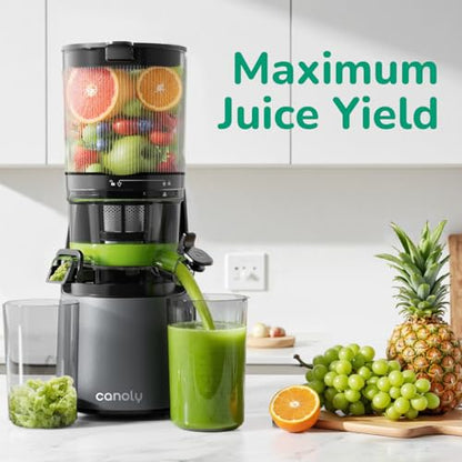 Canoly 3-in-1 Cold Press Juicer C16, Makes Juice & Sorbet & Nut Milk - color: Space Gray