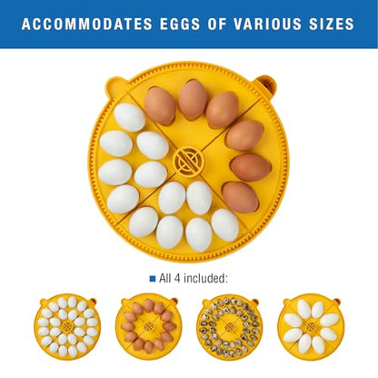 Brinsea Maxi 24 EX Egg Incubator with Automatic Turning & Humidity Control